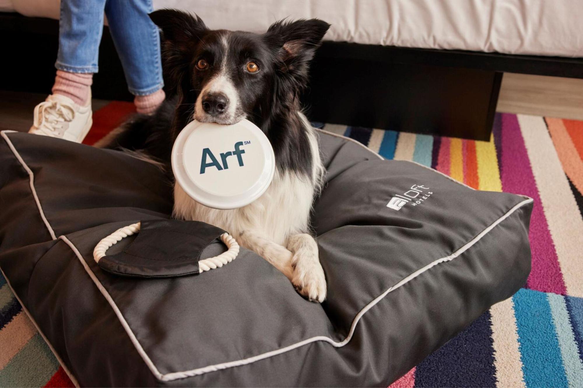 Aloft Dublin City Екстер'єр фото